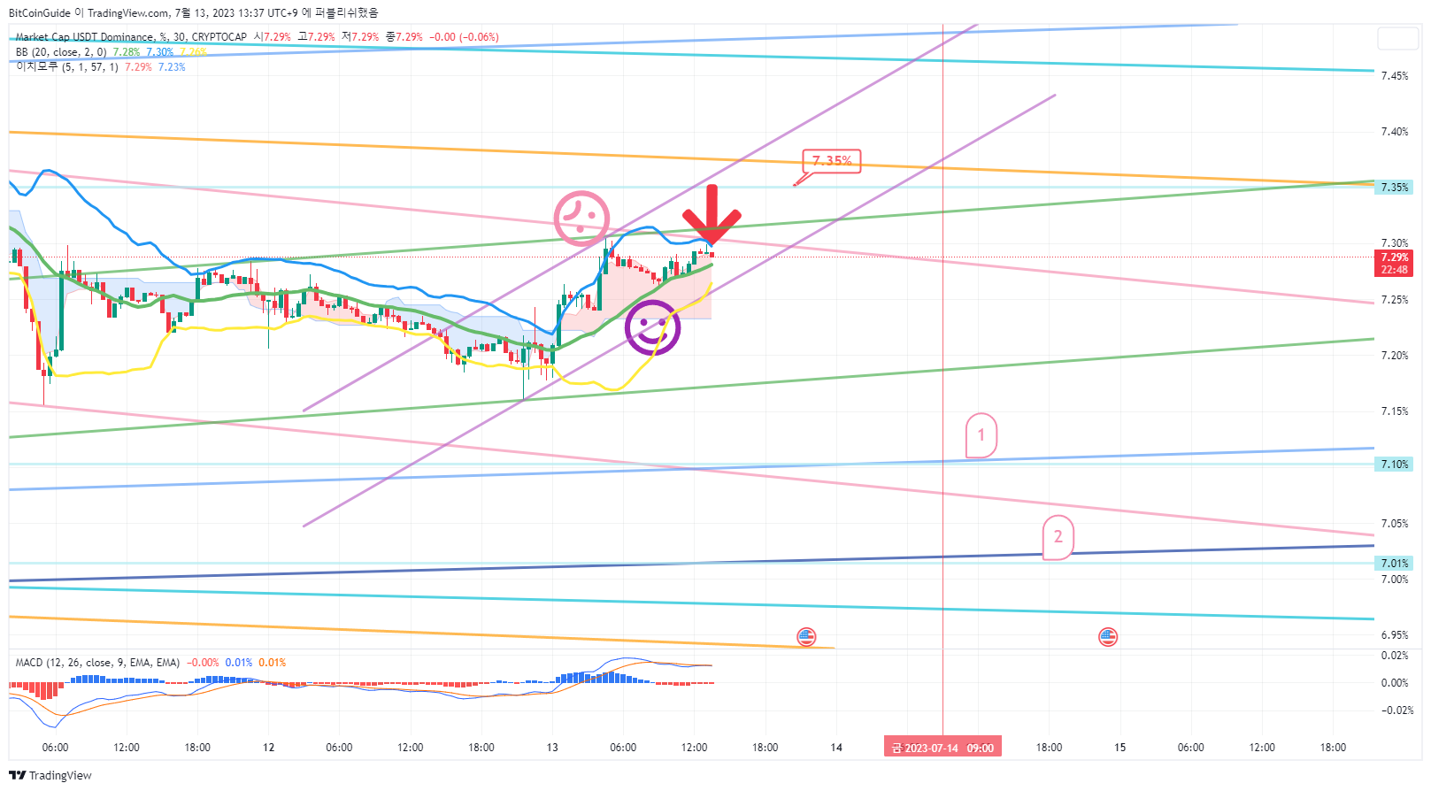 CRYPTOCAP:USDT.D Chart Image by BitCoinGuide