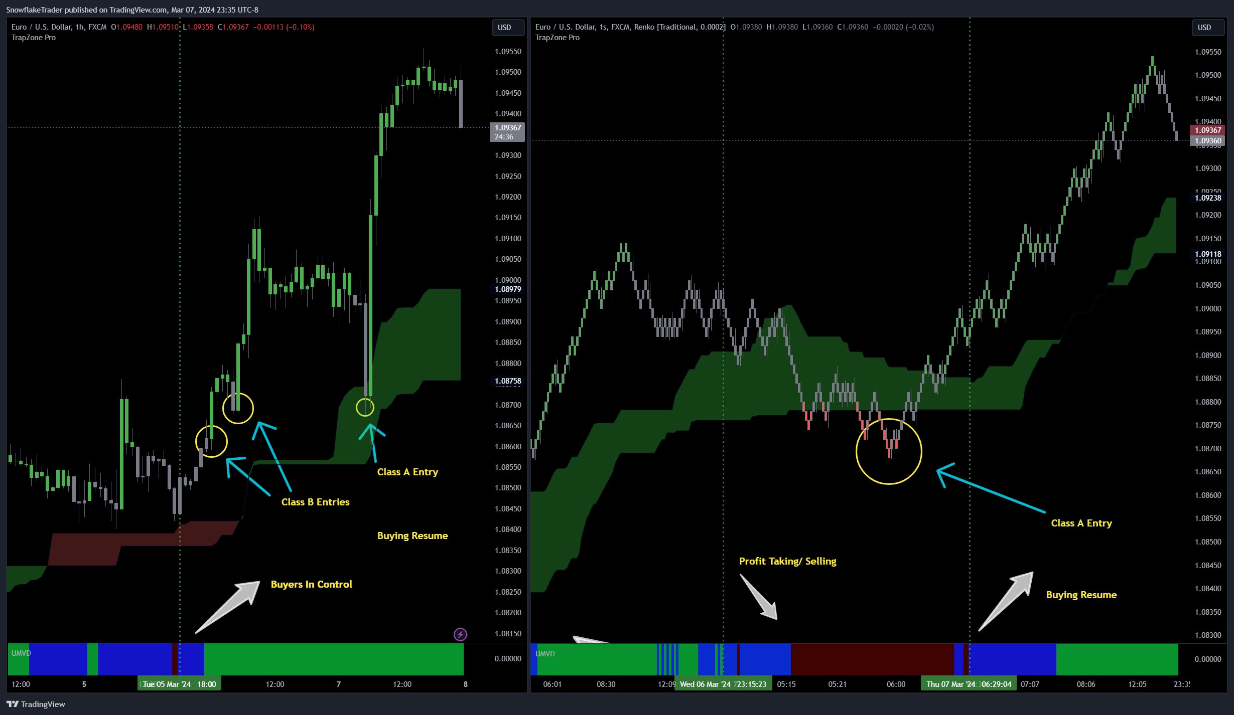 FX:EURUSD Chart Image by SnowflakeTrader