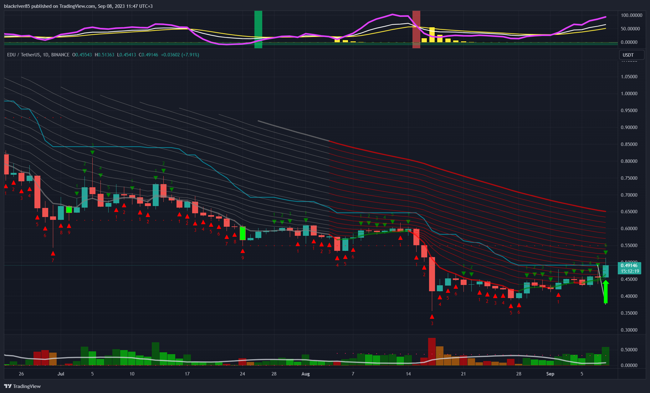 BINANCE:EDUUSDT Chart Image by blackriver85