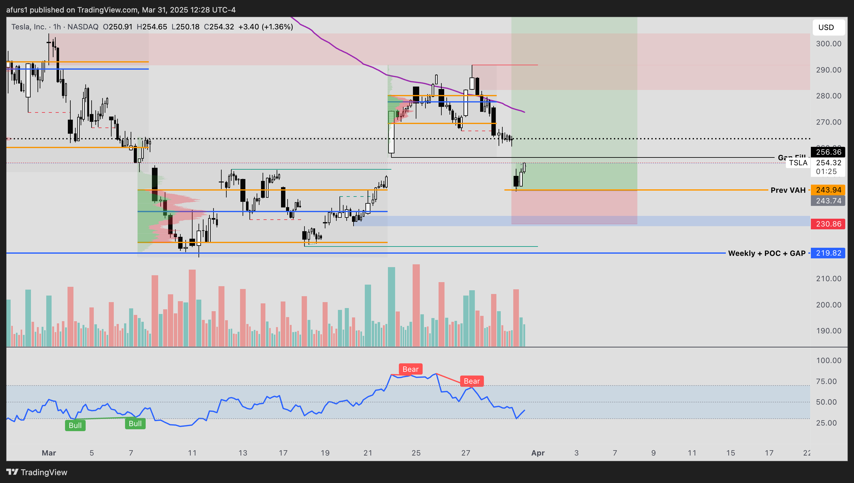 BATS:TSLA Chart Image by afurs1