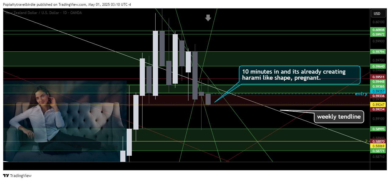 OANDA:NZDUSD Chart Image by PopiaMytravelbirdie