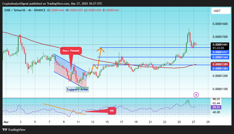 BINANCE:SHIBUSDT Chart Image by CryptoAnalystSignal