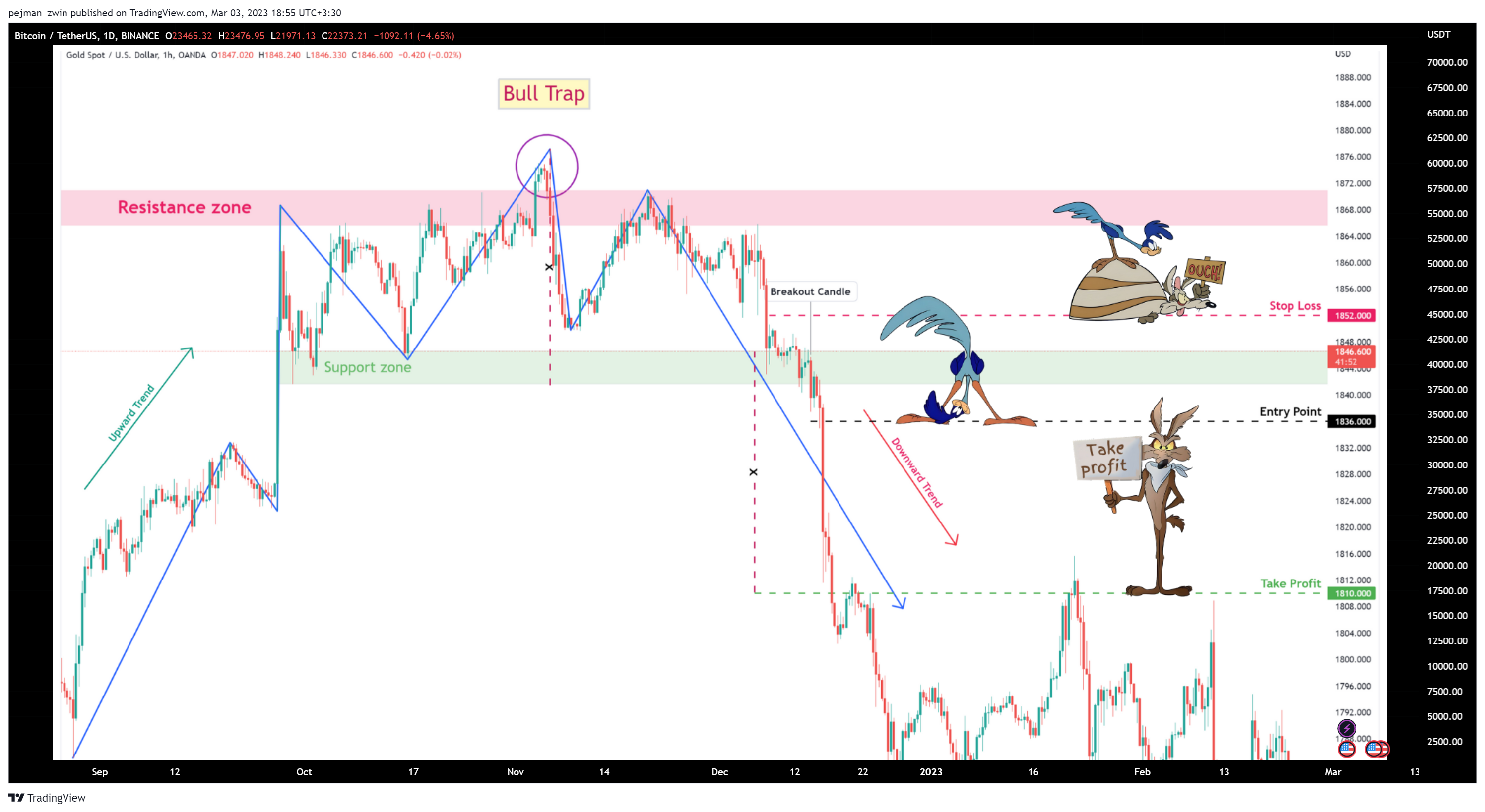 BINANCE:BTCUSDT Chart Image by pejman_zwin
