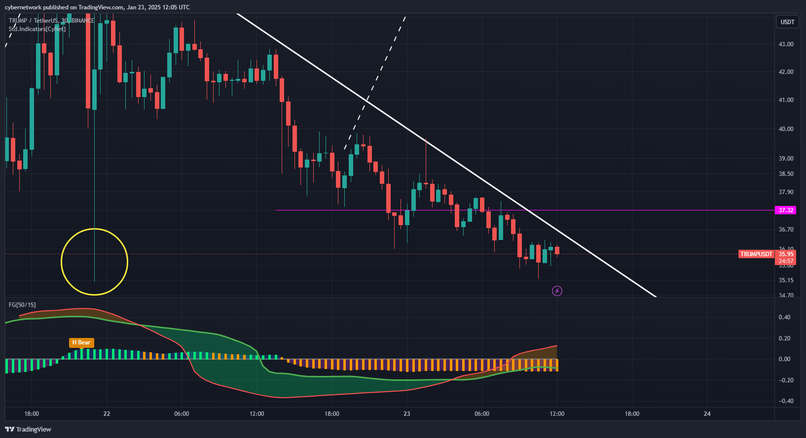 BINANCE:TRUMPUSDT Chart Image by cybernetwork
