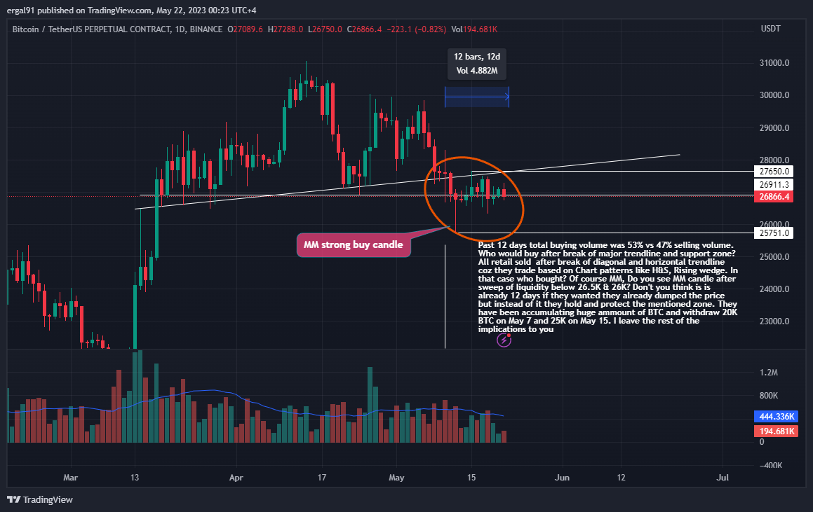 BINANCE:BTCUSDT.P Chart Image by ergal91