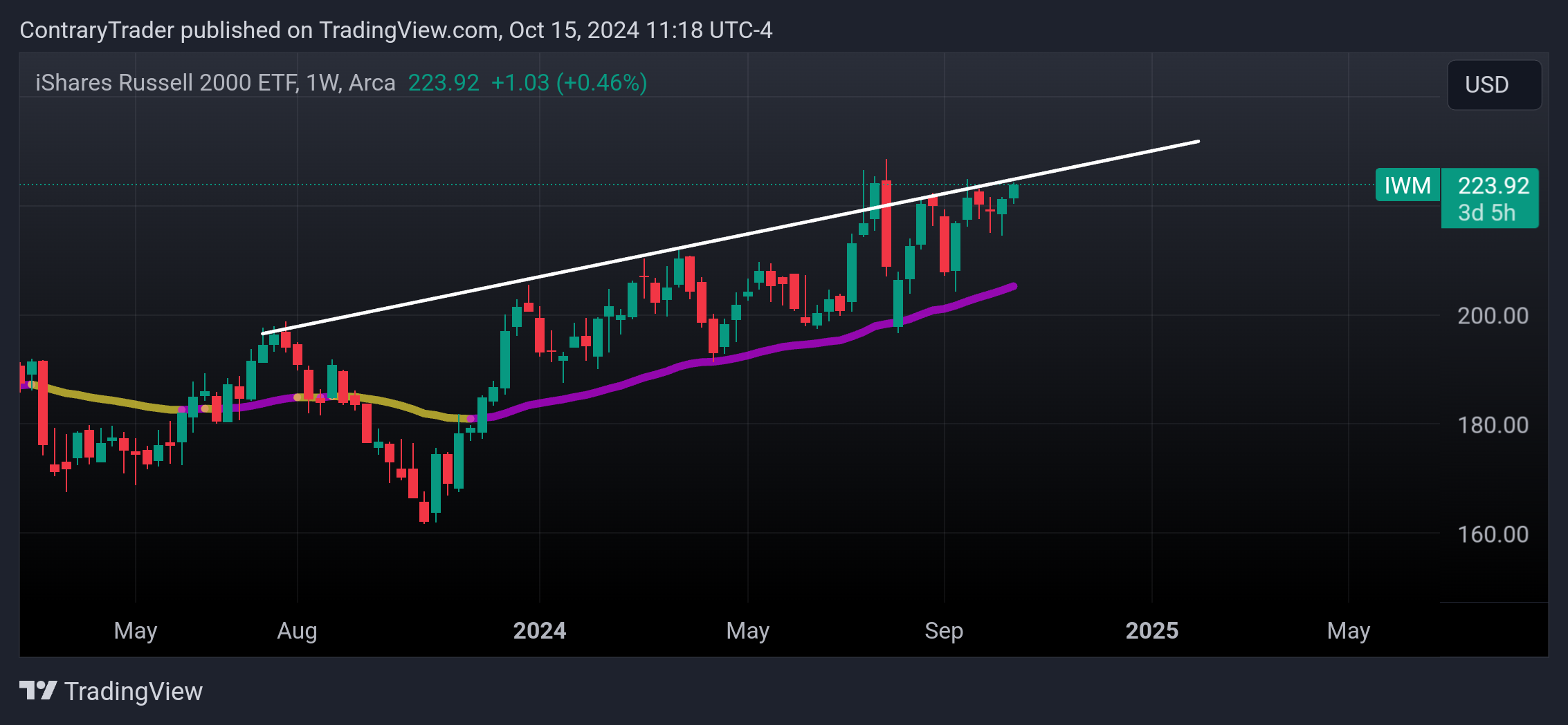 AMEX:IWM Chart Image by ContraryTrader