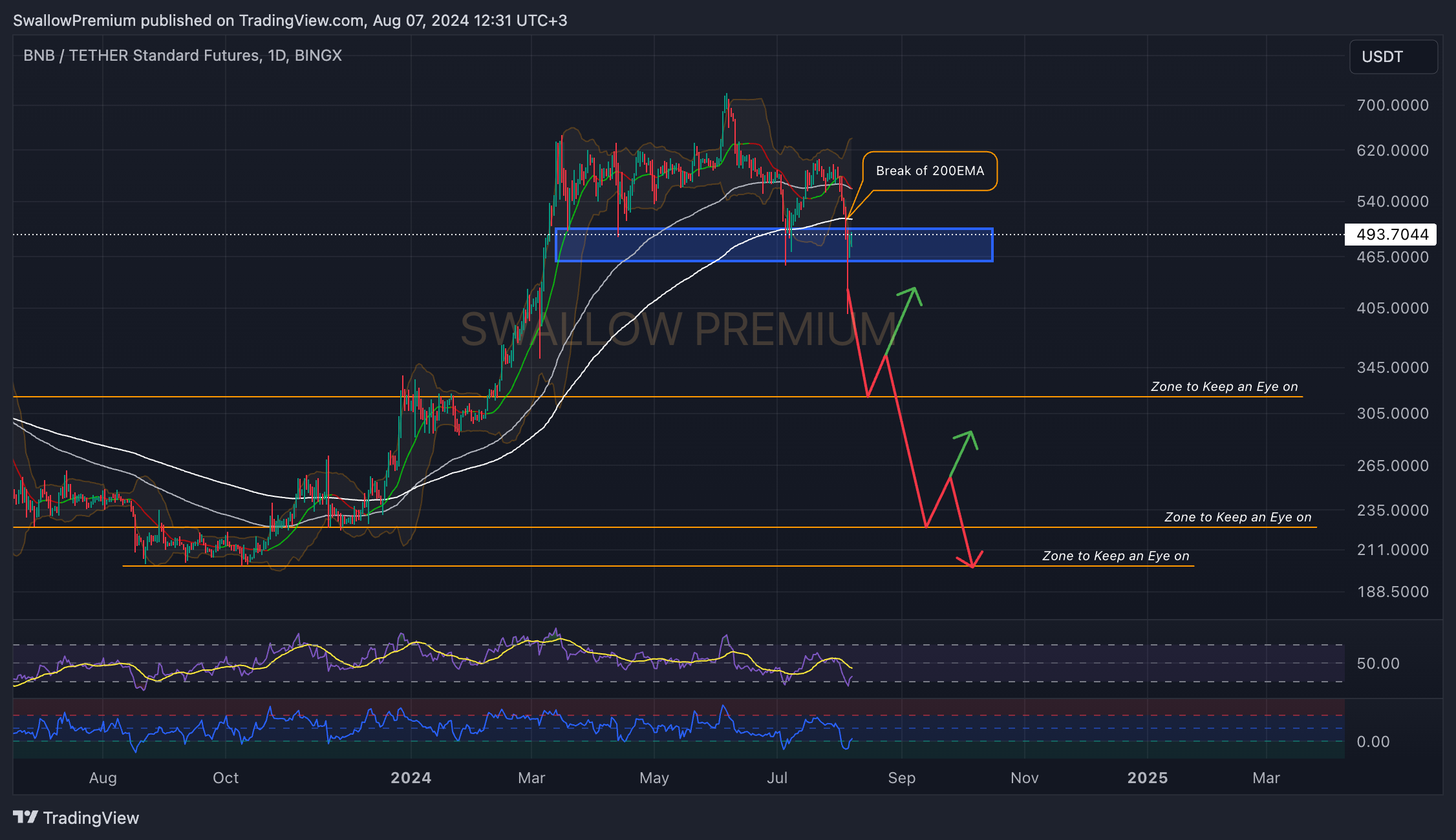 BINGX:BNBUSDT.PS Chart Image by SwallowAcademy