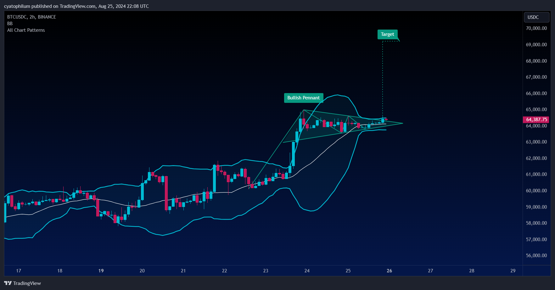 BINANCE:BTCUSDC Chart Image by cyatophilum