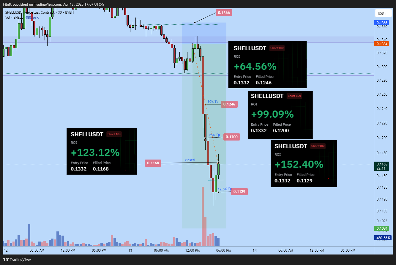 BYBIT:SHELLUSDT.P Chart Image by Filnft