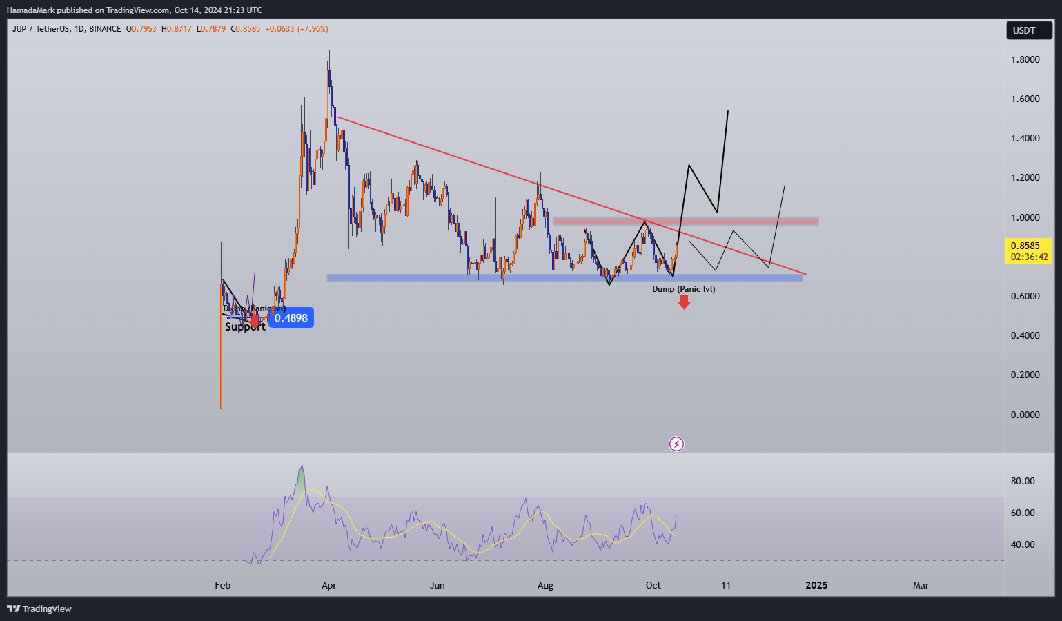 BINANCE:JUPUSDT Chart Image by HamadaMark