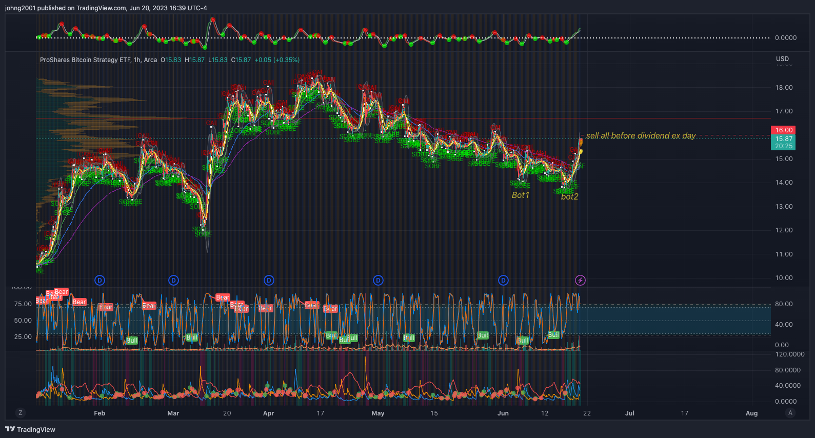 AMEX:BITO Chart Image by johng2001