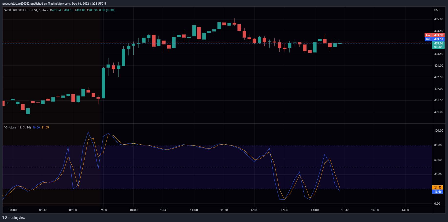 AMEX:SPY Chart Image by The_Peaceful_Lizard