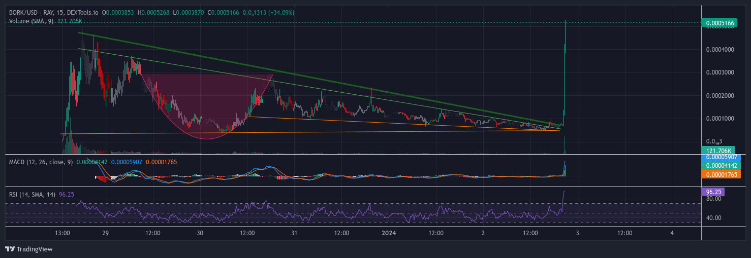 BORK/USD - RAY - DEXTOOLS.IO Chart Image