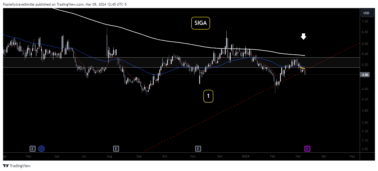 BATS:SIGA Chart Image by PopiaMytravelbirdie