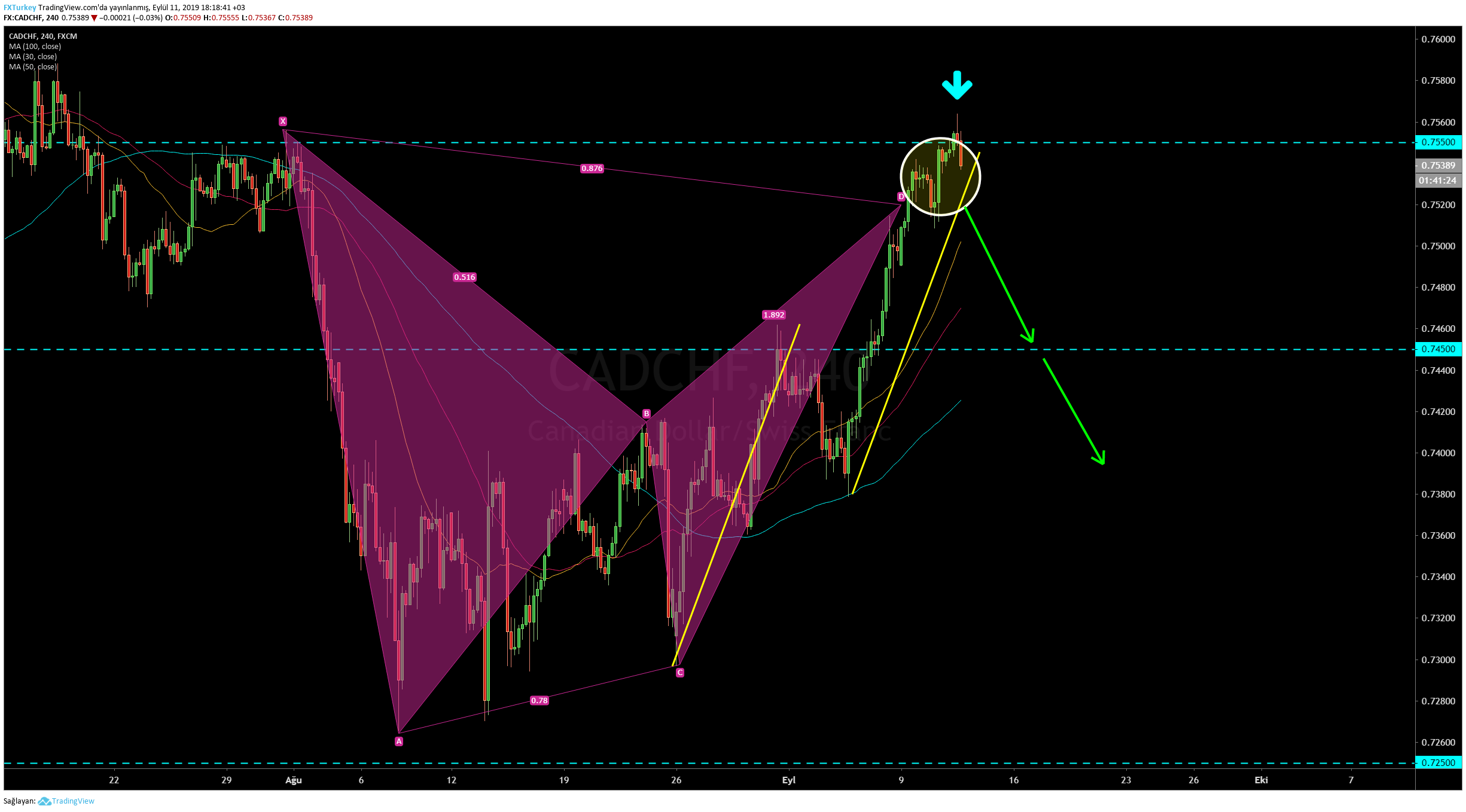  Chart Image