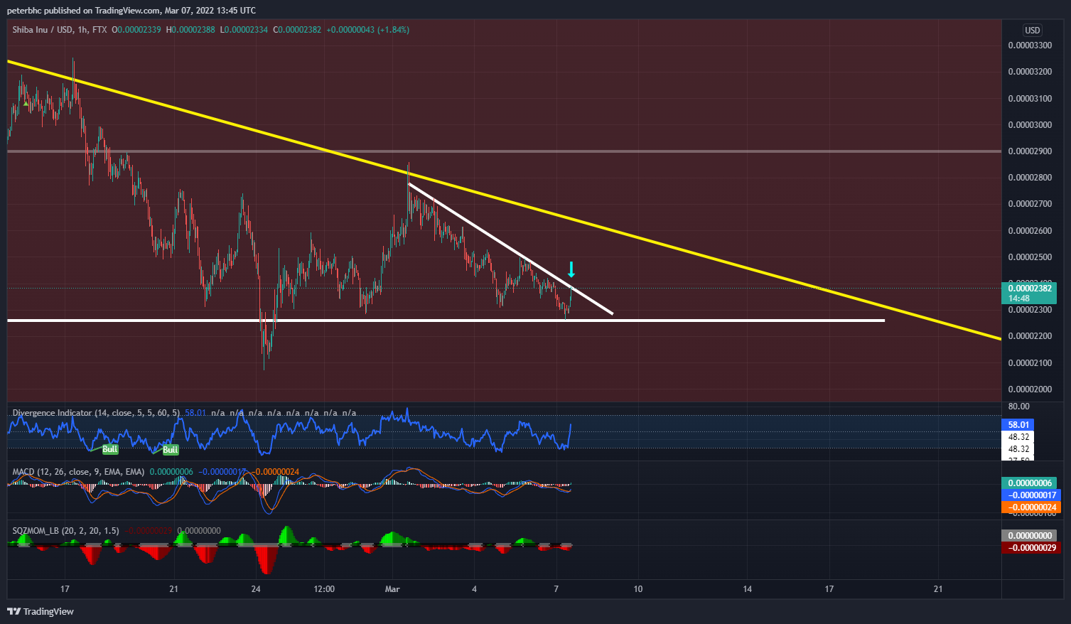 FTX:SHIBUSD Chart Image by peterbhc