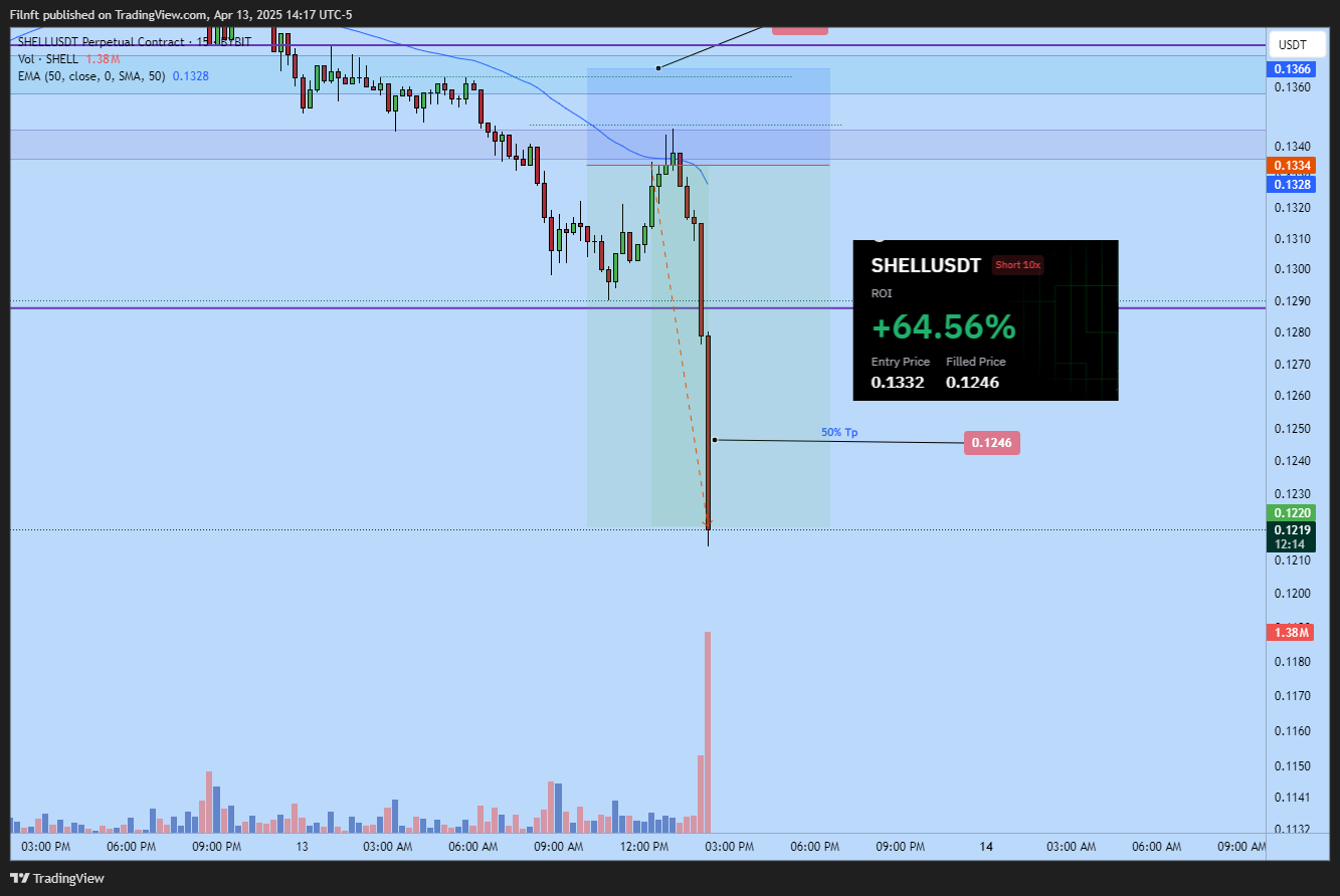 BYBIT:SHELLUSDT.P Chart Image by Filnft