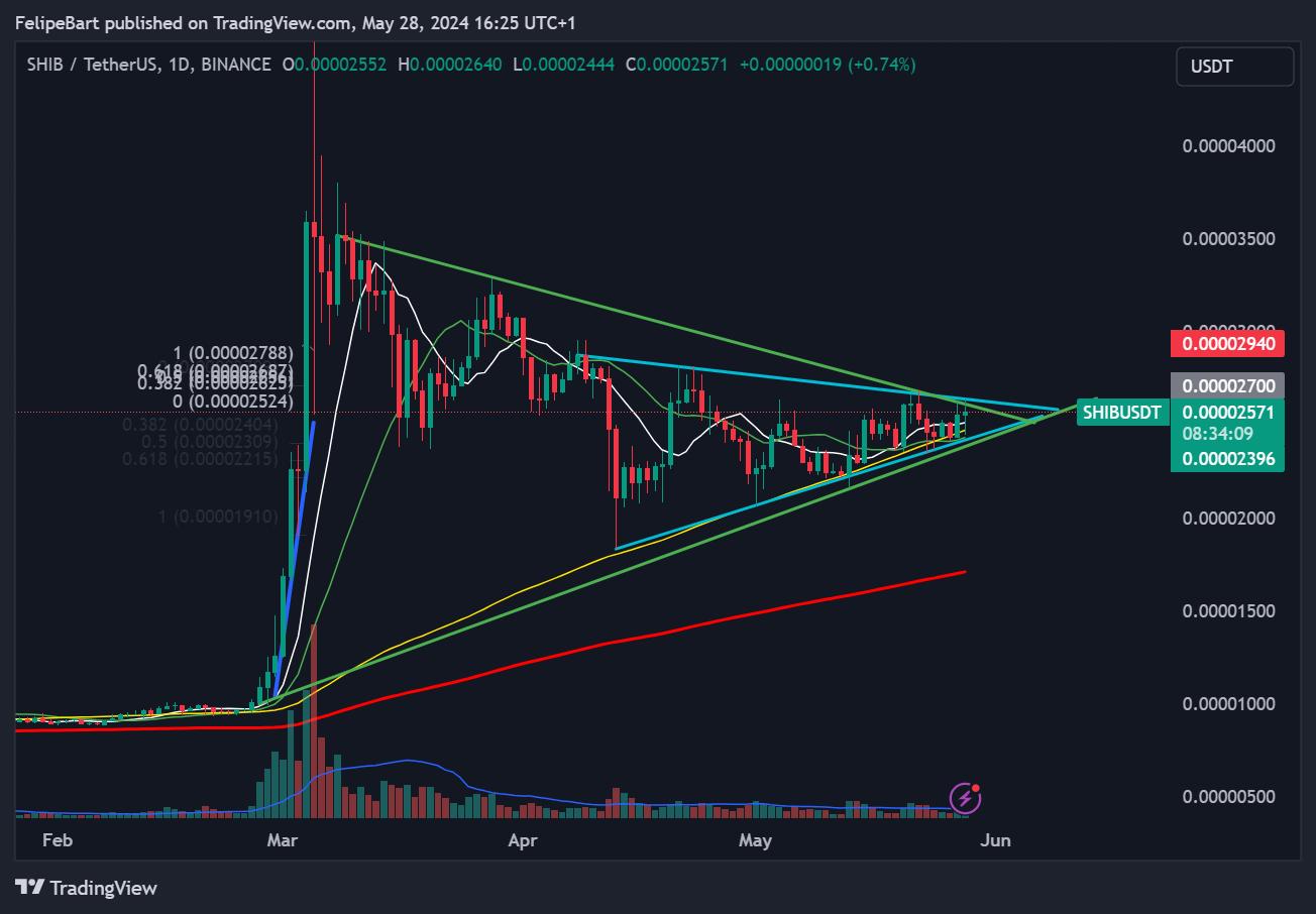 BINANCE:SHIBUSDT Chart Image by FelipeBart
