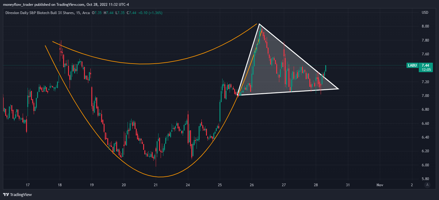 AMEX:LABU Chart Image by moneyflow_trader