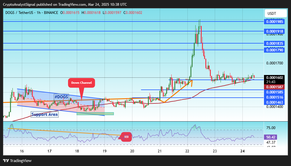 BINANCE:DOGSUSDT Chart Image by CryptoAnalystSignal