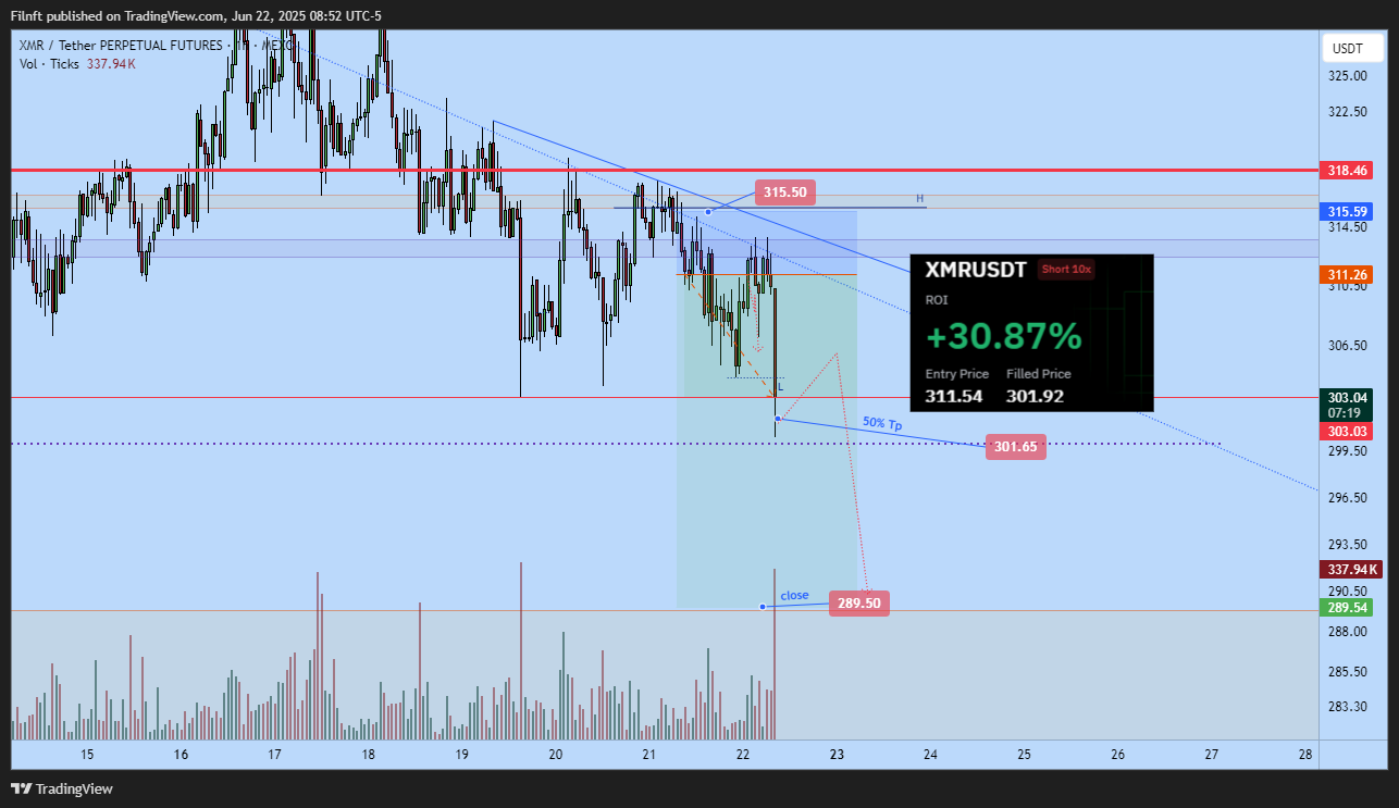 MEXC:XMRUSDT.P Chart Image by Filnft