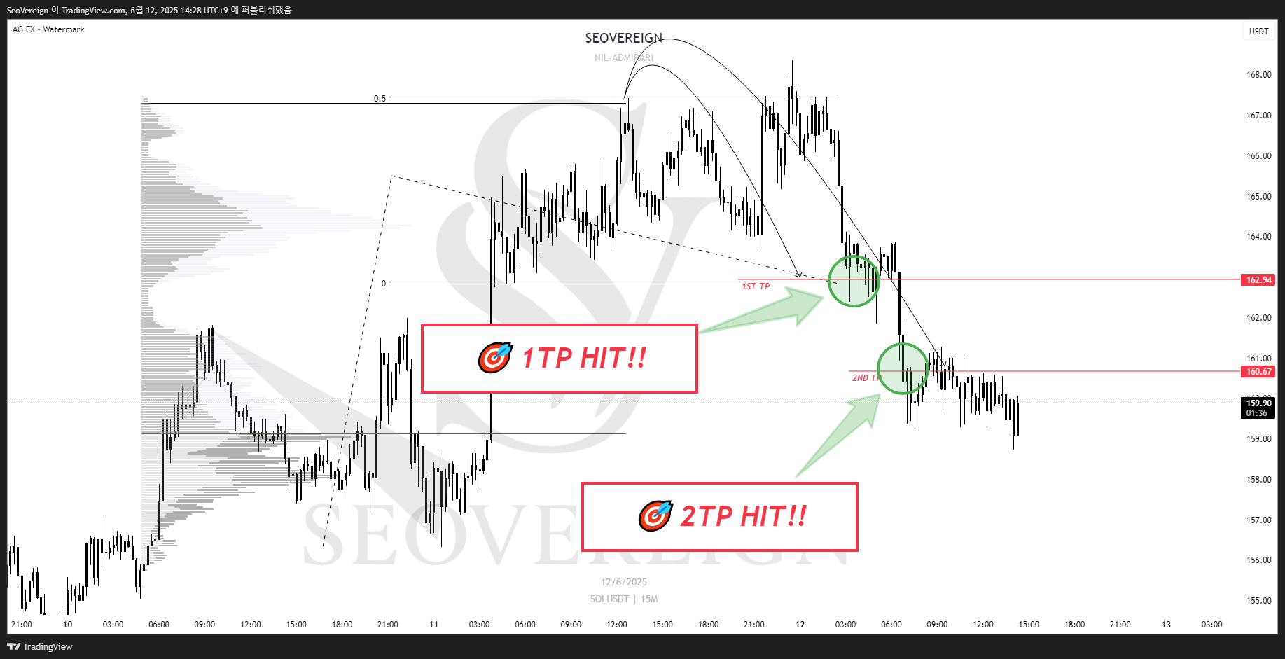BINANCE:SOLUSDT Chart Image by SeoVereign