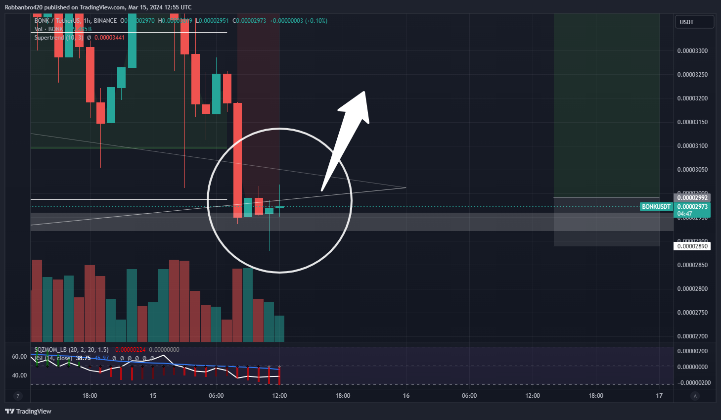 BINANCE:BONKUSDT Chart Image by Robbanbro420