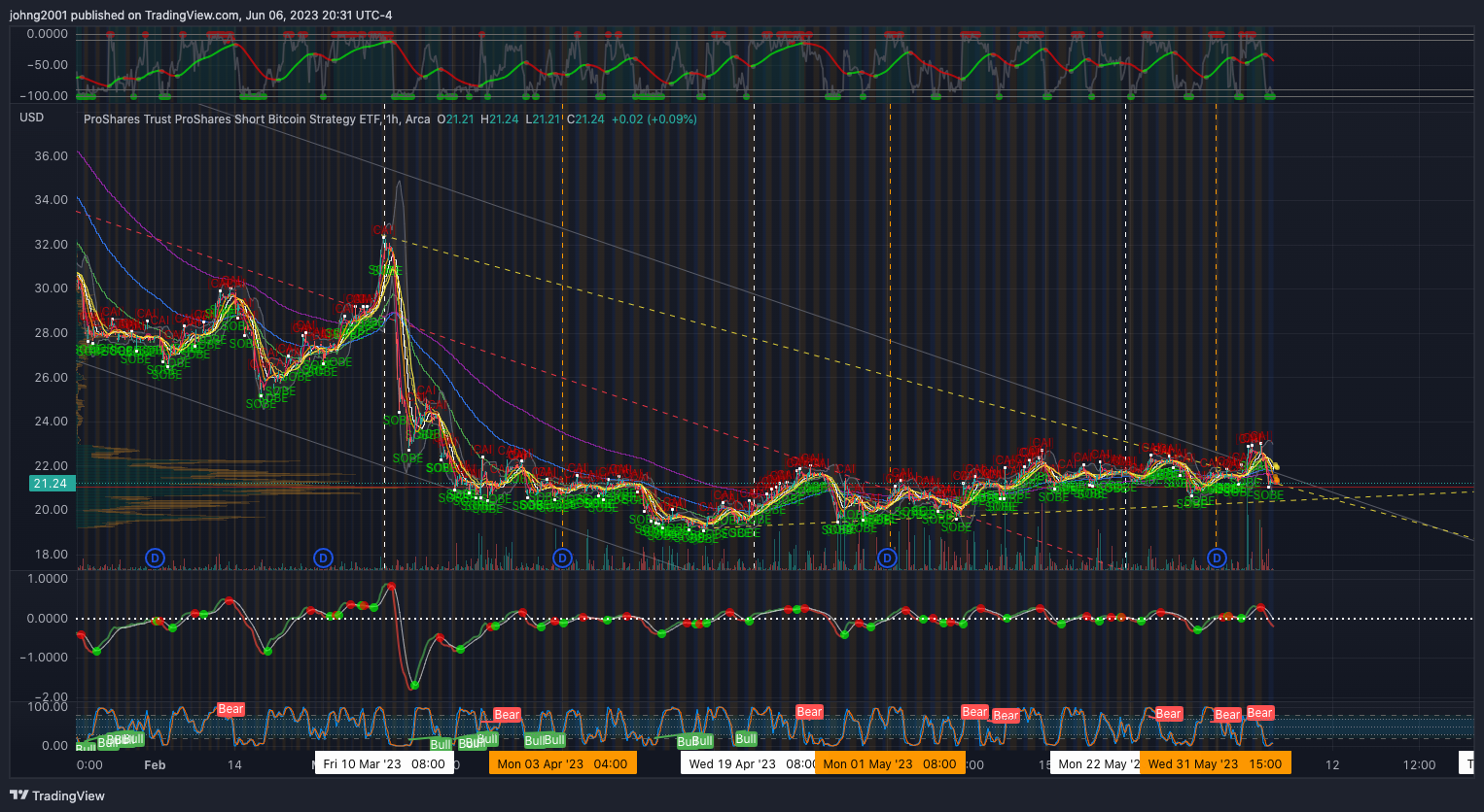 AMEX:BITI Chart Image by johng2001