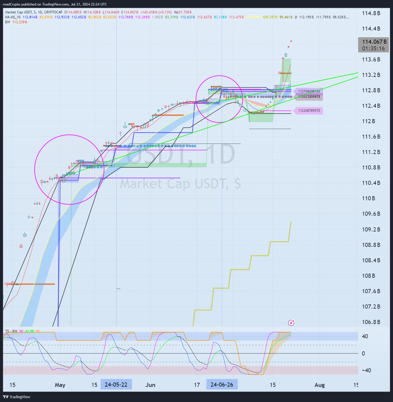 CRYPTOCAP:USDT Chart Image by readCrypto