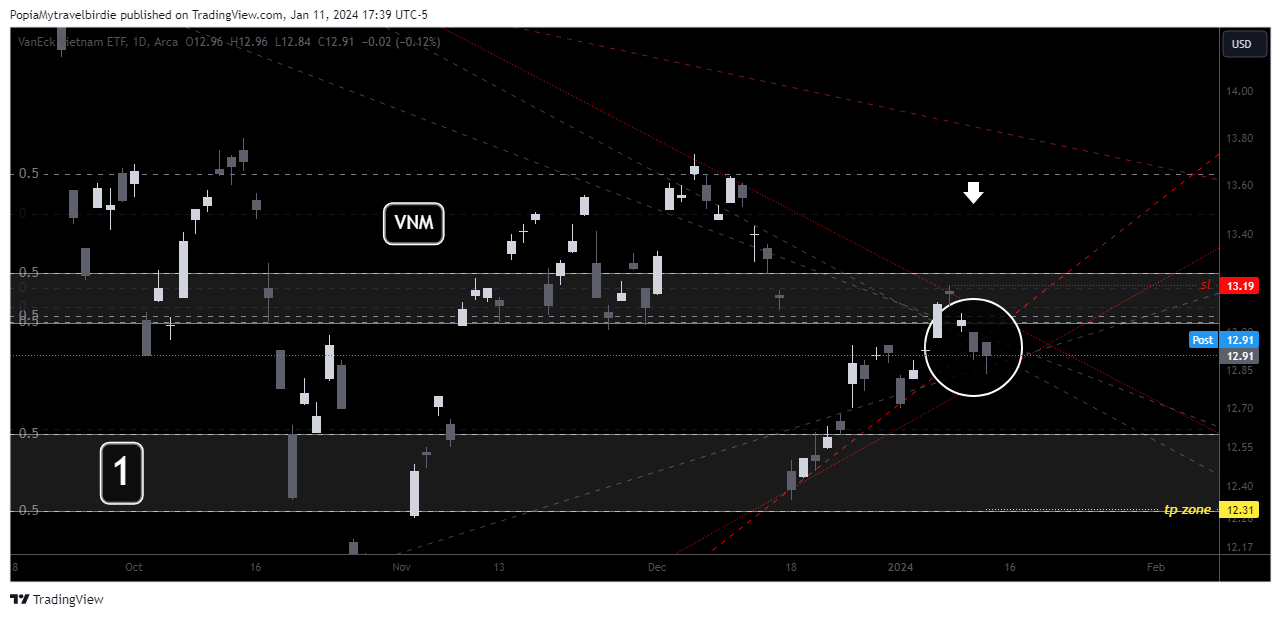 BATS:VNM Chart Image by PopiaMytravelbirdie