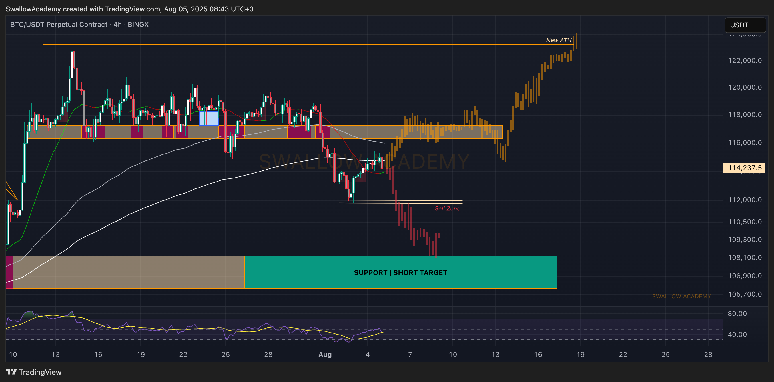 BINGX:BTCUSDT.P Chart Image by SwallowAcademy
