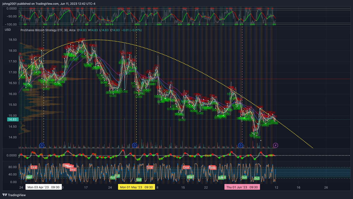 AMEX:BITO Chart Image by johng2001