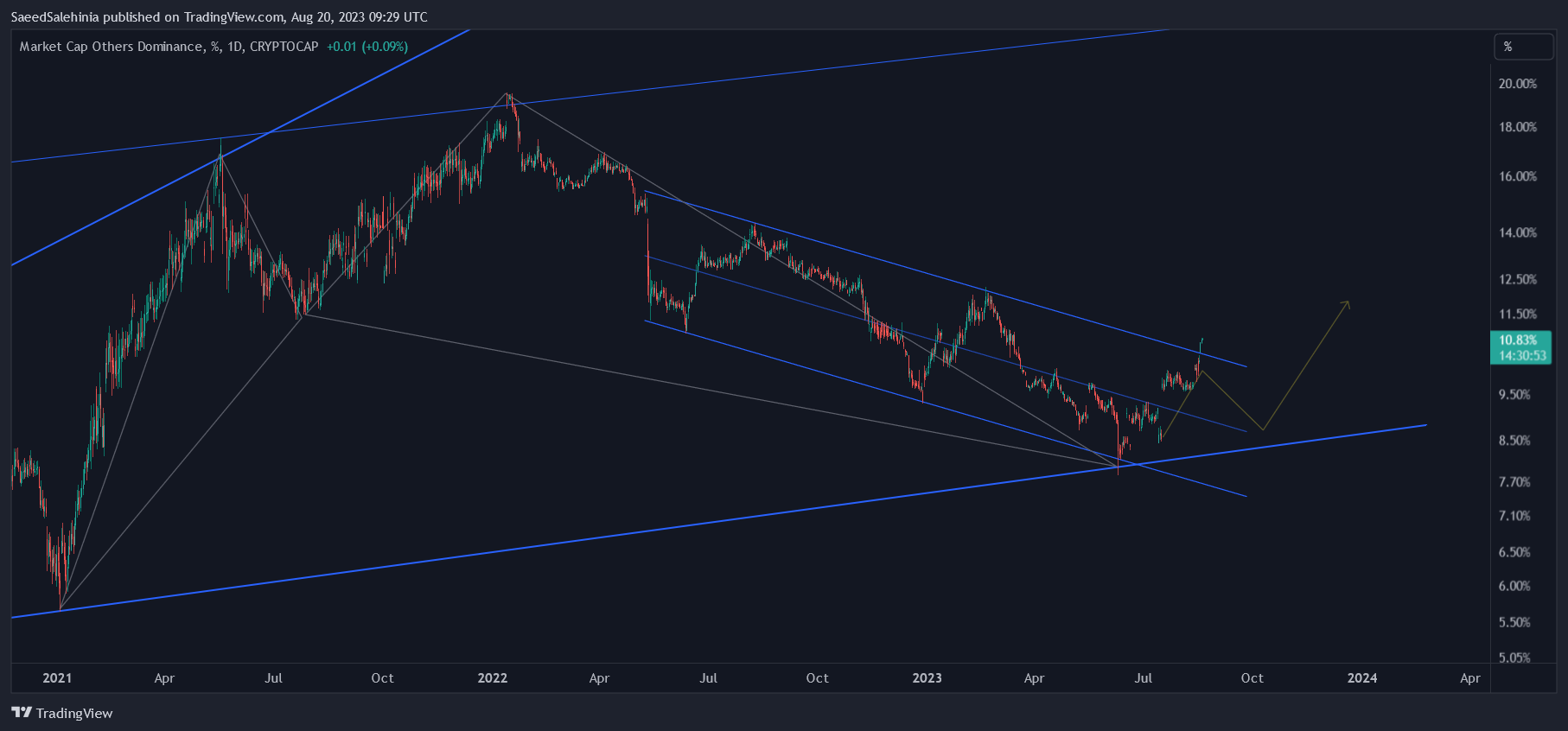 CRYPTOCAP:OTHERS.D Chart Image by SaeedSalehinia