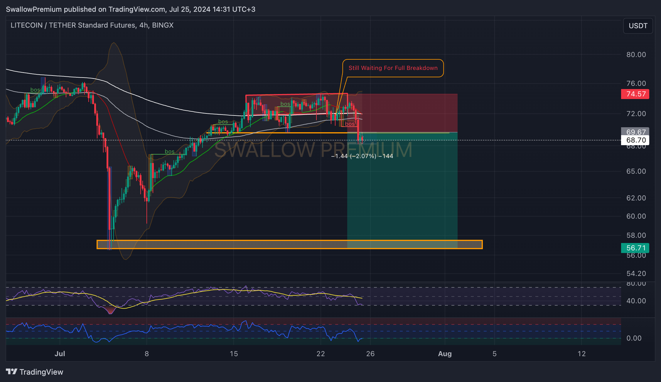 BINGX:LTCUSDT.PS Chart Image by SwallowAcademy