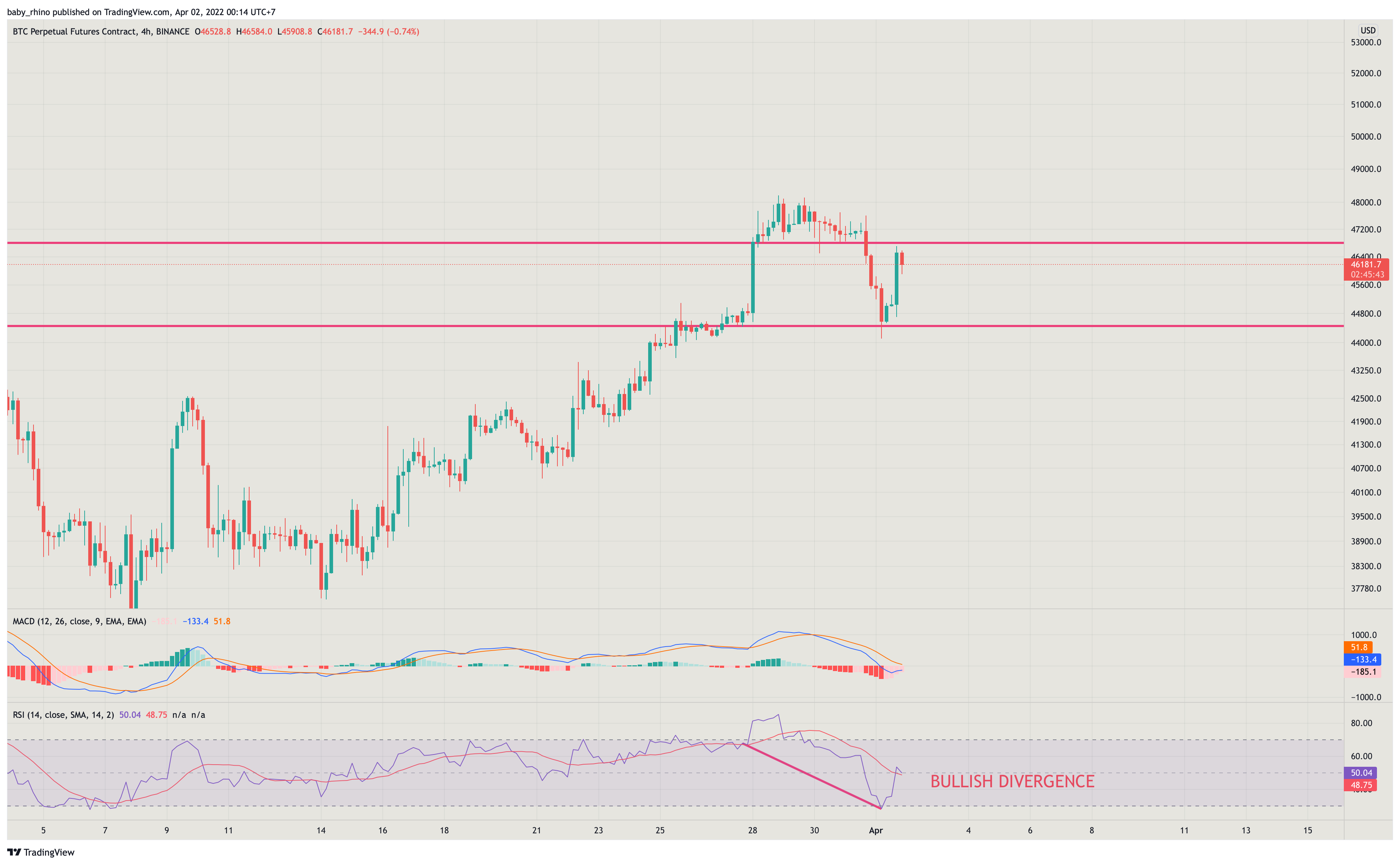 BINANCE:BTCPERP Chart Image by baby_rhino