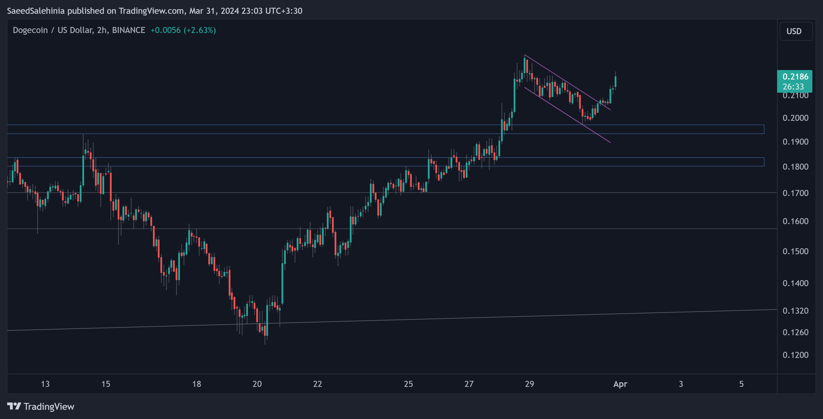 BINANCE:DOGEUSD Chart Image by SaeedSalehinia