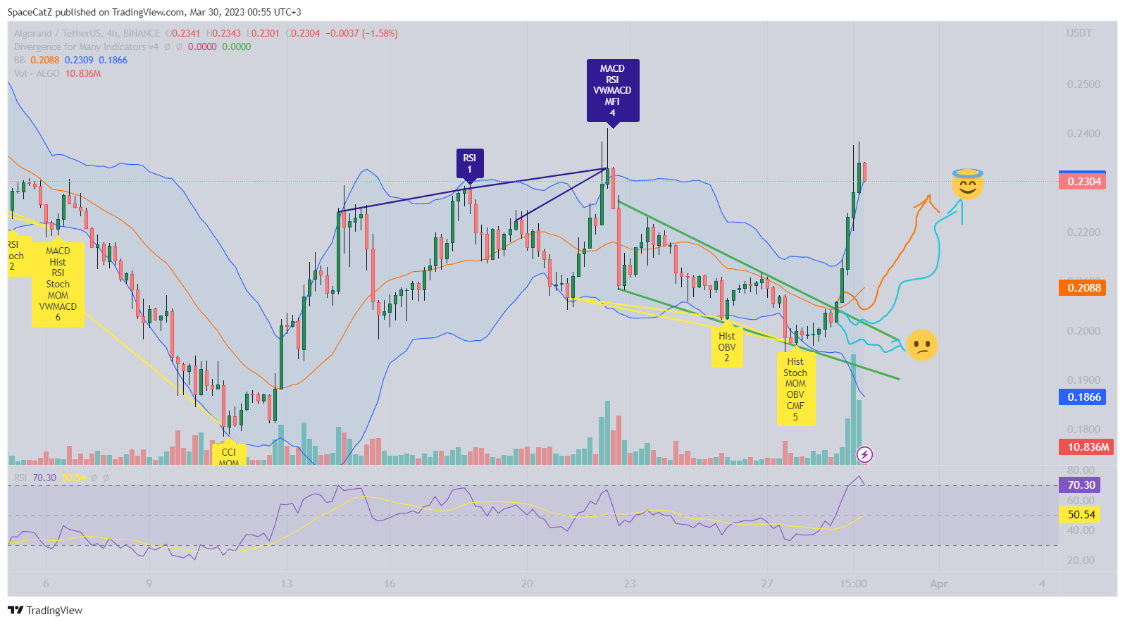 BINANCE:ALGOUSDT Chart Image by SpaceCatZ