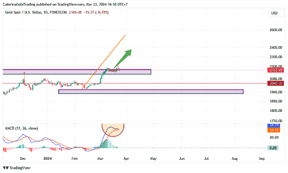 FOREXCOM:XAUUSD Chart Image by CaterinaGoldTrading