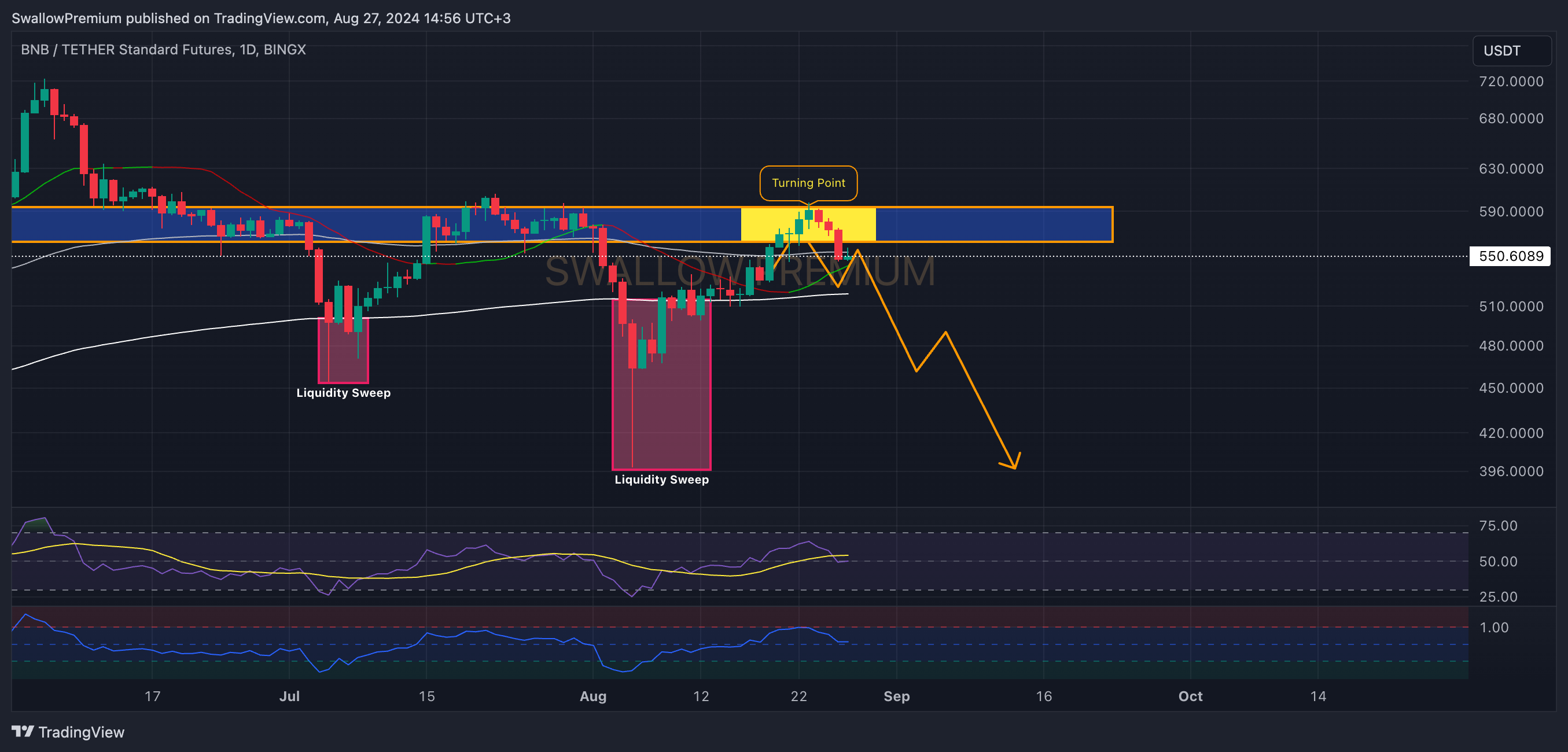 BINGX:BNBUSDT.PS Chart Image by SwallowAcademy