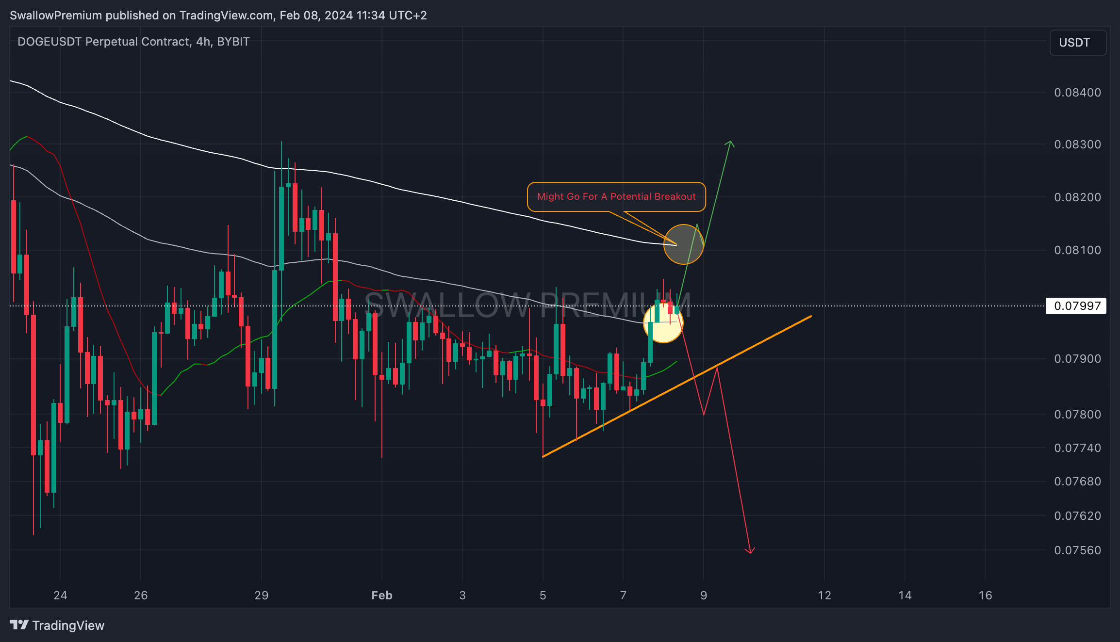 BYBIT:DOGEUSDT.P Chart Image by SwallowAcademy