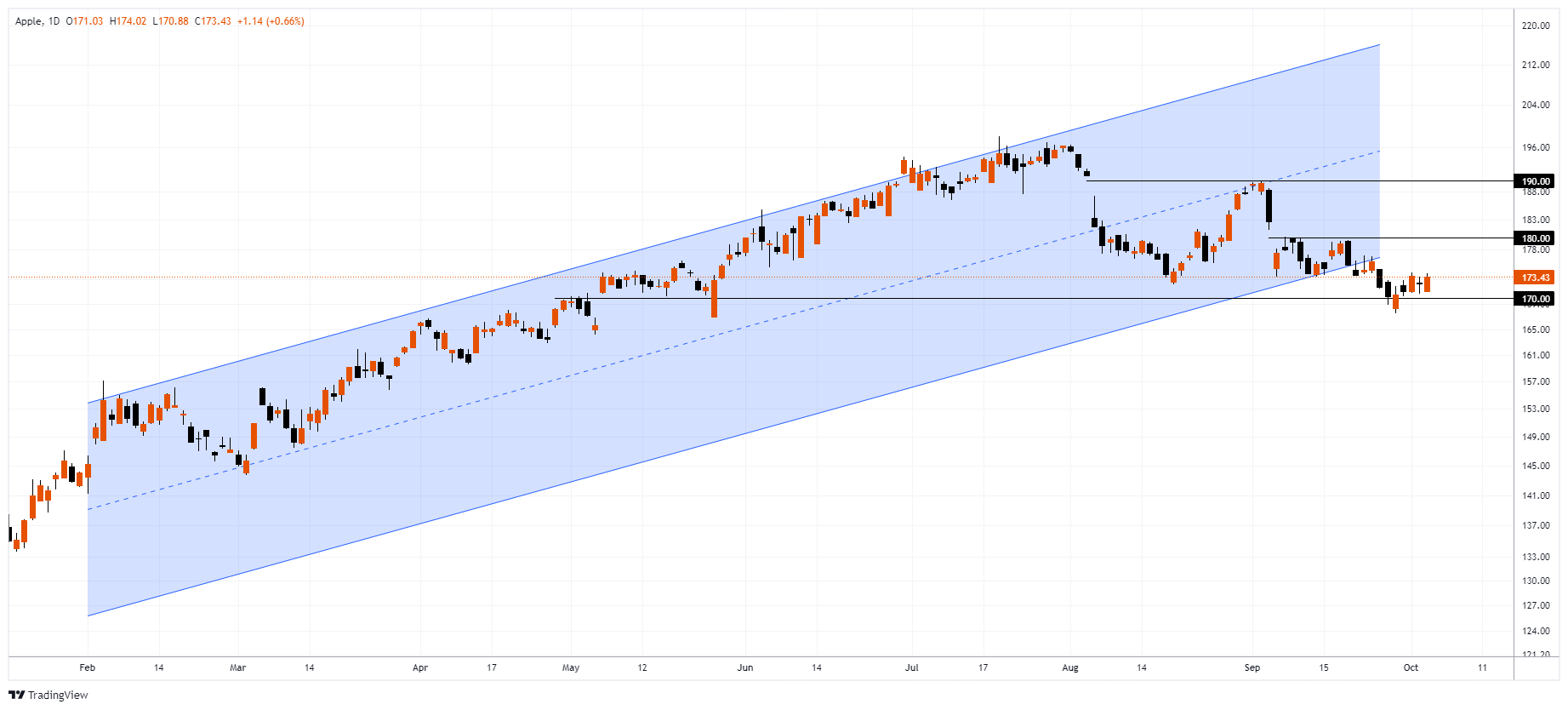 AAPL Chart Image