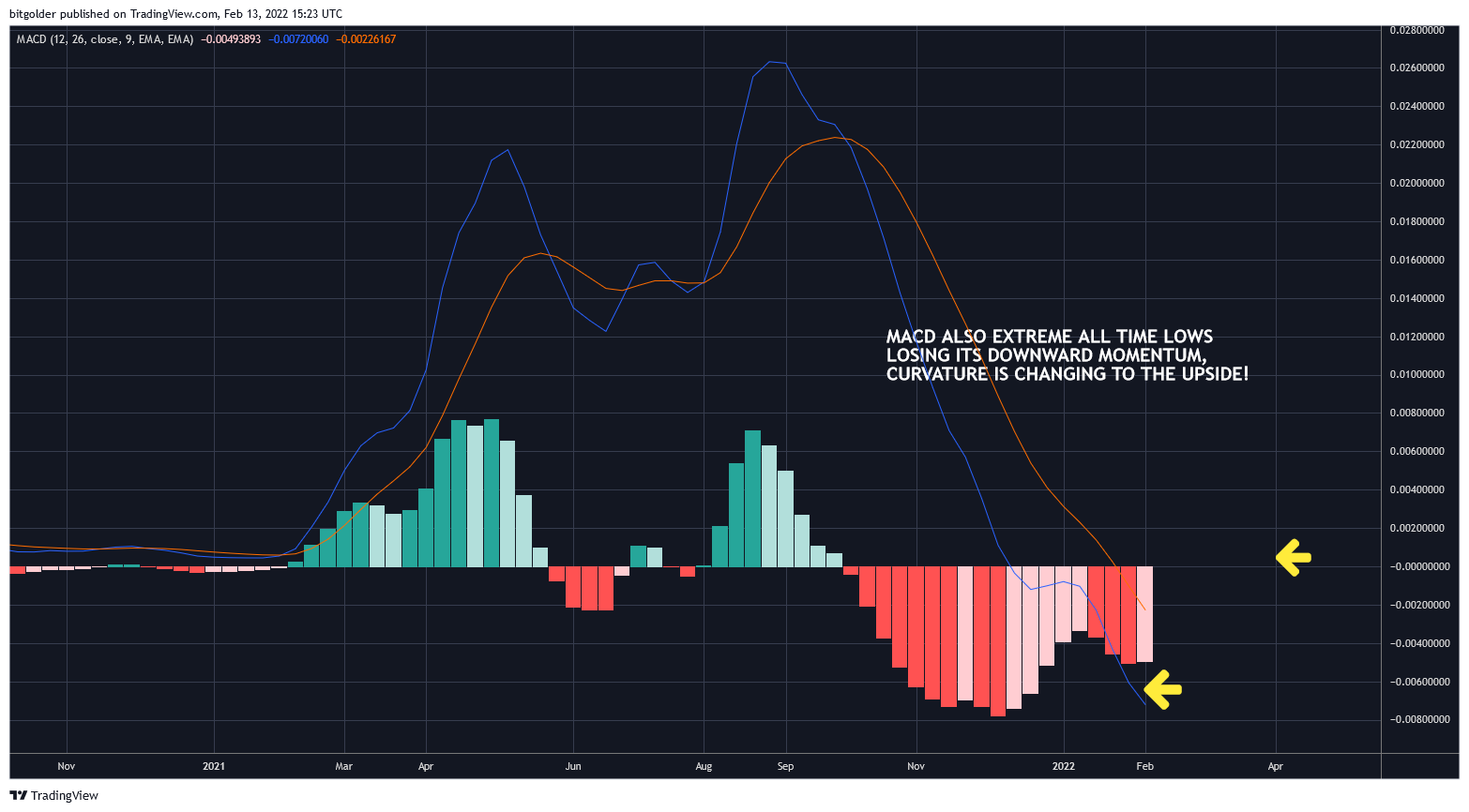 BITFINEX:XDCUSD Chart Image by Bitgolder