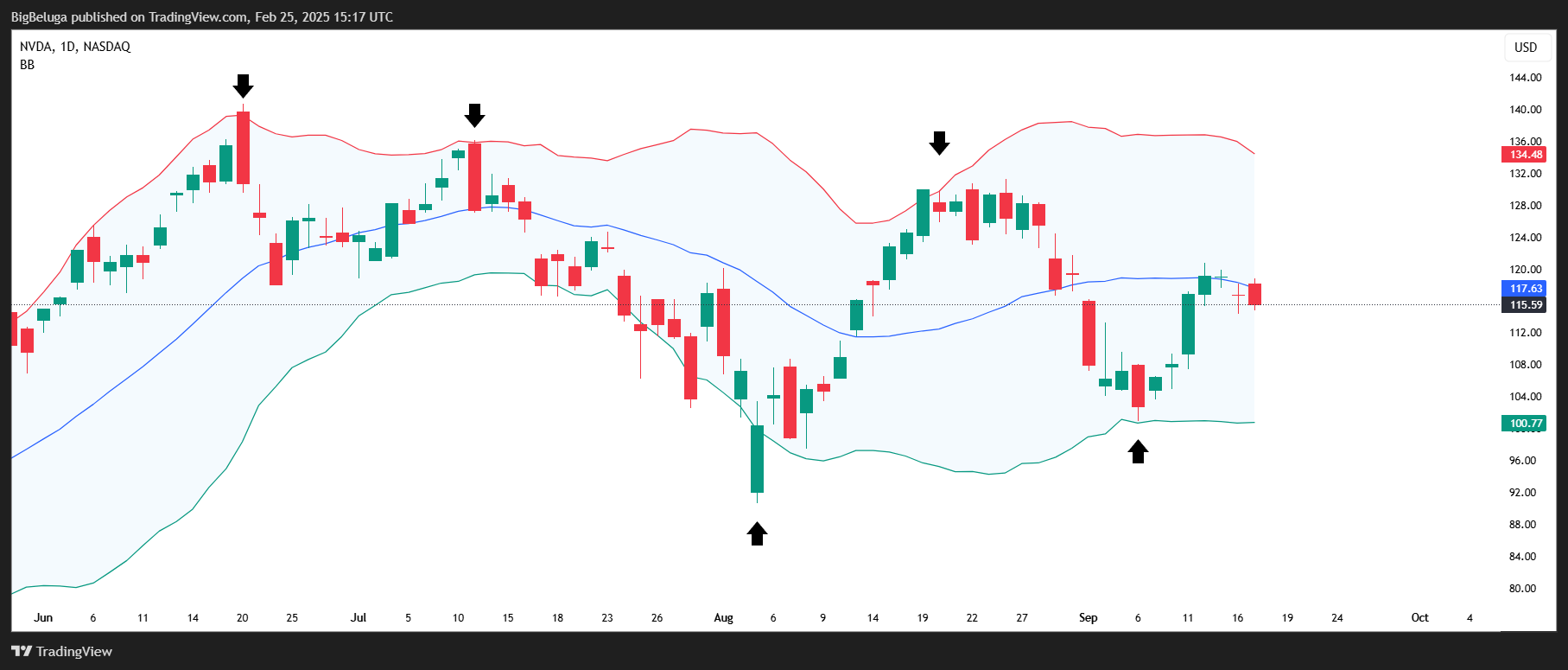 BATS:NVDA Chart Image by BigBeluga