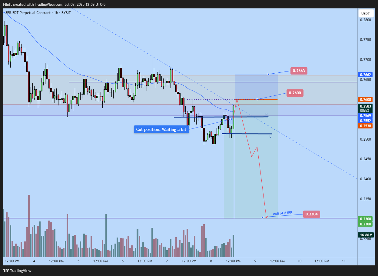 BYBIT:SEIUSDT.P Chart Image by Filnft