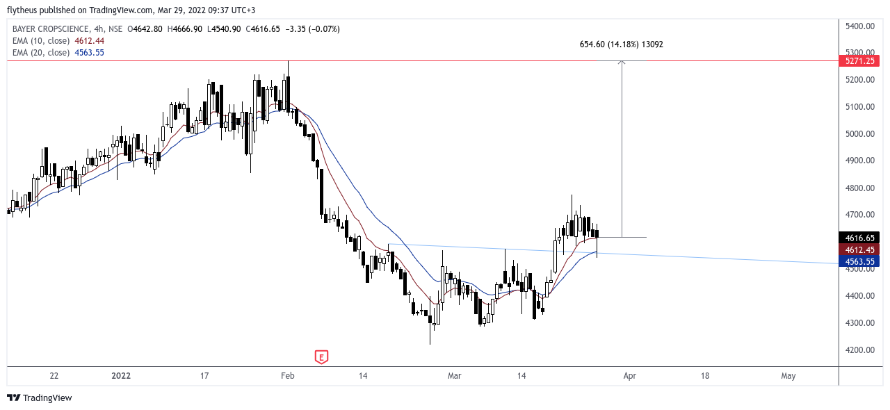 NSE:BAYERCROP Chart Image by TradeLive-