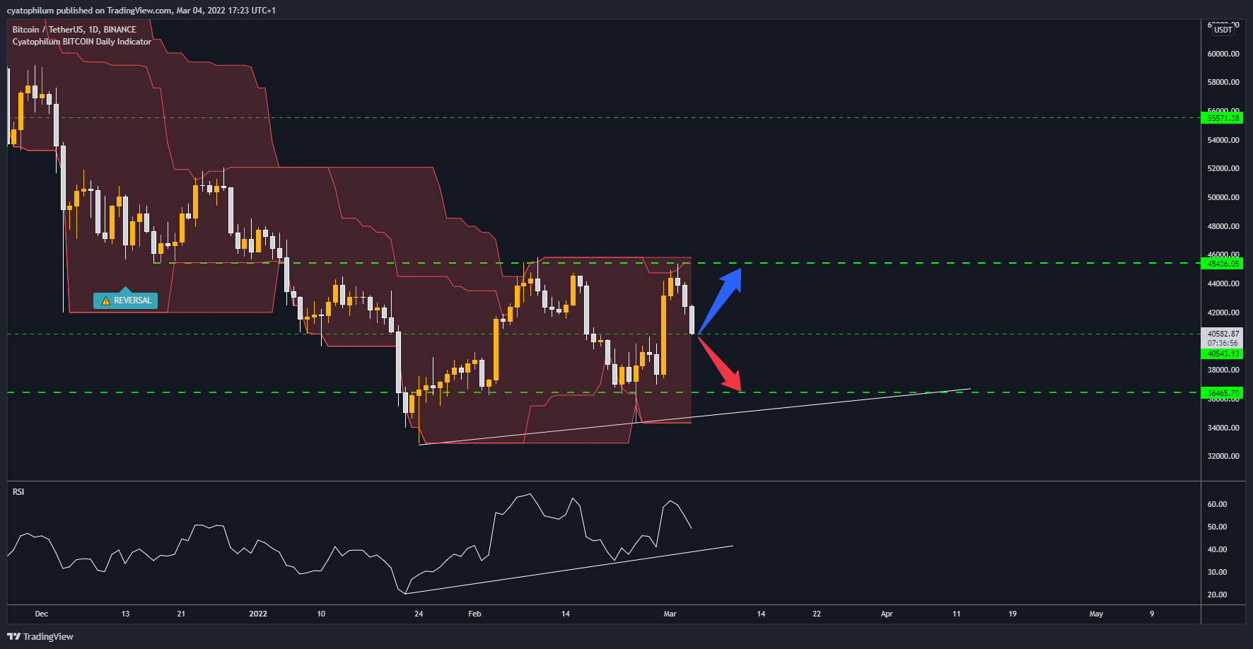 BINANCE:BTCUSDT Chart Image by cyatophilum