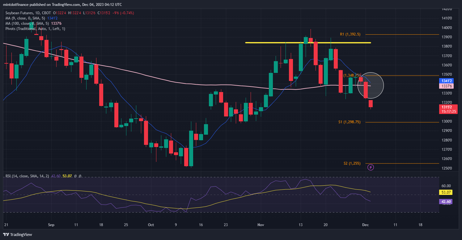 CBOT_DL:ZS1! Chart Image by mintdotfinance