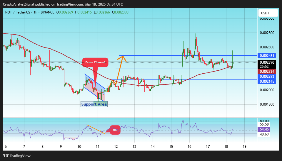 BINANCE:NOTUSDT Chart Image by CryptoAnalystSignal
