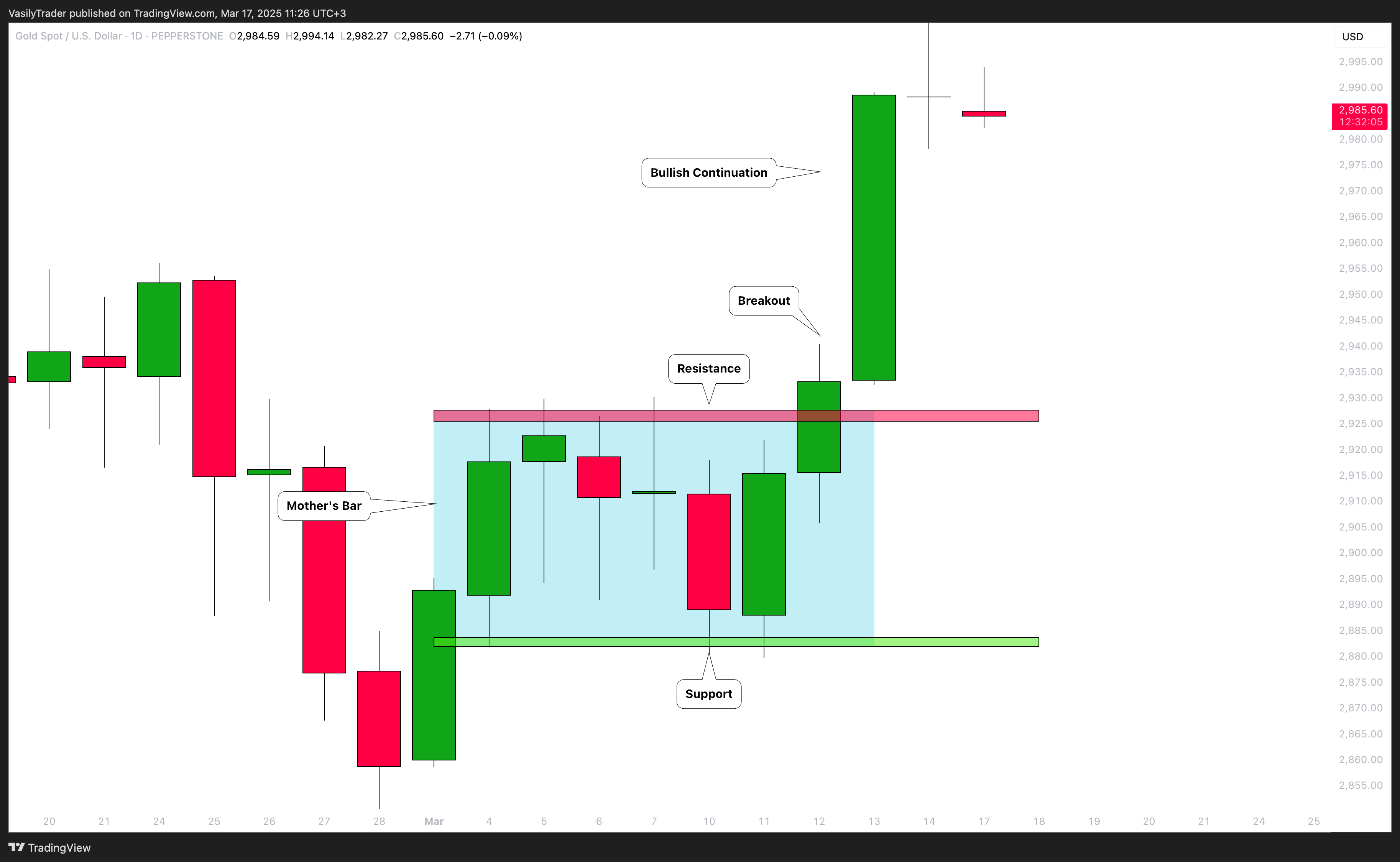 PEPPERSTONE:XAUUSD Chart Image by VasilyTrader