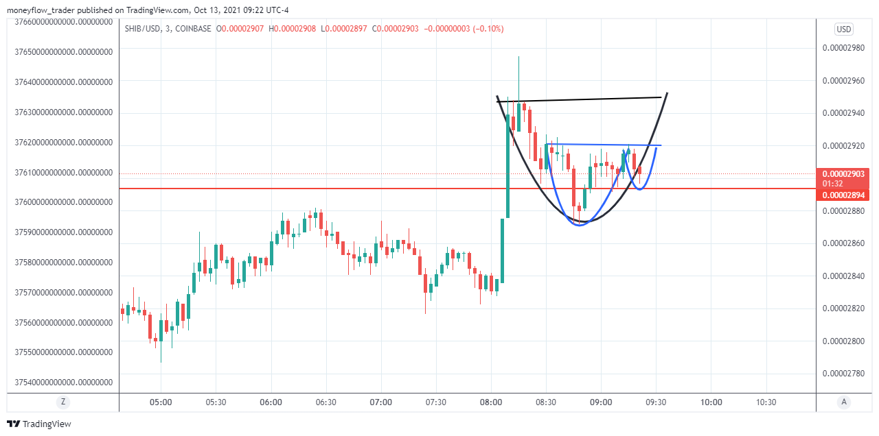 COINBASE:SHIBUSD Chart Image by moneyflow_trader